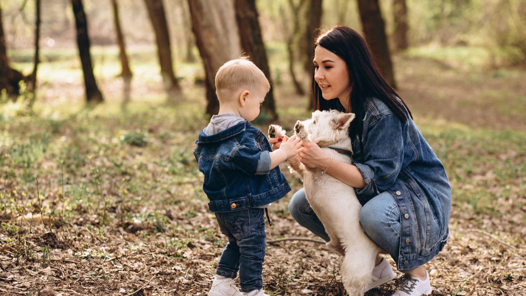 teach kids about pets