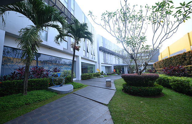 School Garden 1