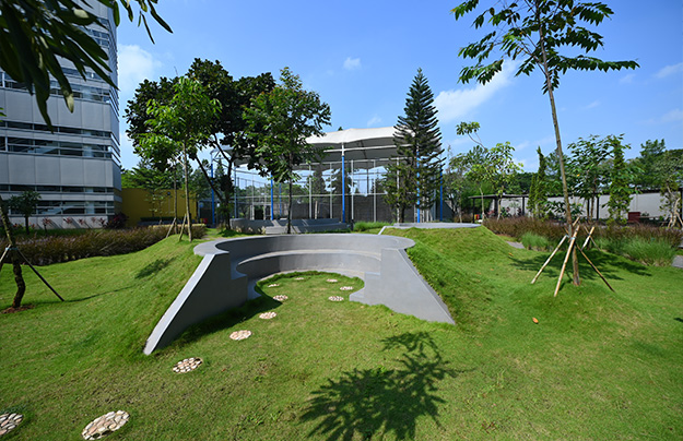 School Garden 2