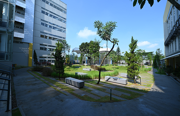 School Garden 3