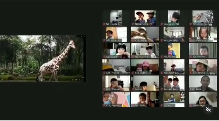 Our Virtual Field Trip